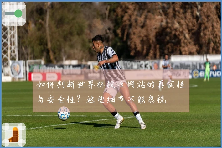 如何判断世界杯投注网站的真实性与安全性？这些细节不能忽视