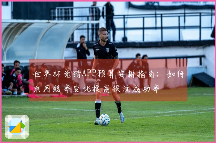 世界杯竞猜APP预算安排指南：如何利用赔率变化提高投注成功率