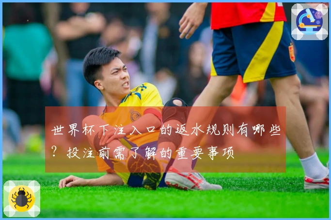 世界杯下注入口的返水规则有哪些？投注前需了解的重要事项