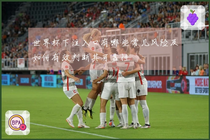 世界杯下注入口有哪些常见风险及如何有效判断其可靠性