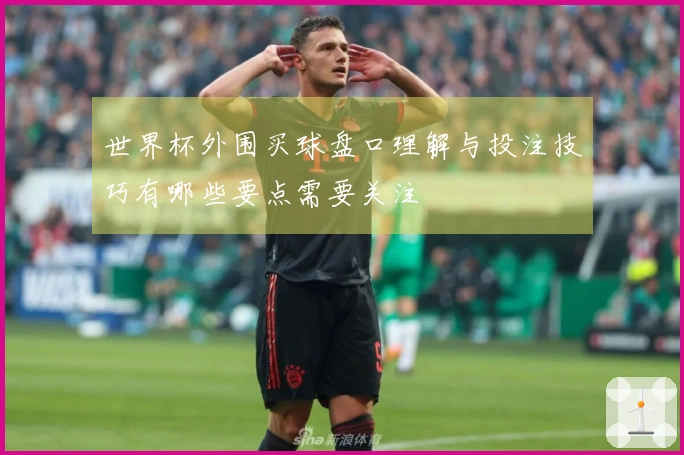 世界杯外围买球盘口理解与投注技巧有哪些要点需要关注