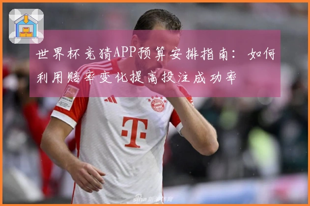 世界杯竞猜APP预算安排指南：如何利用赔率变化提高投注成功率
