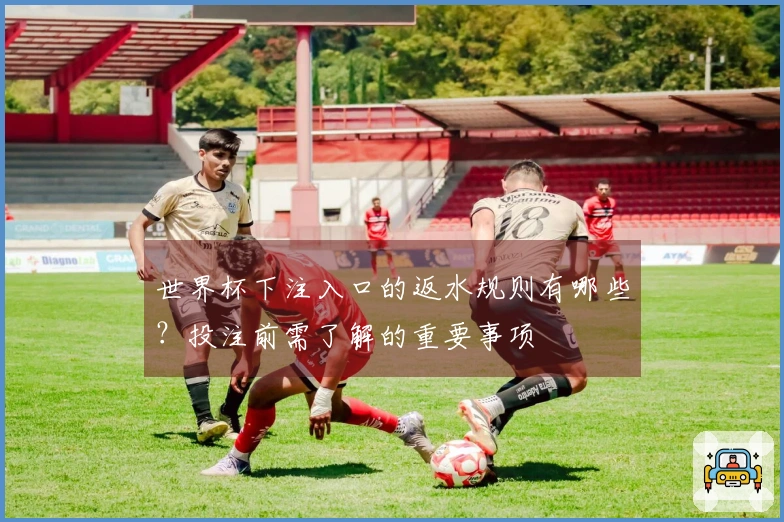 世界杯下注入口的返水规则有哪些？投注前需了解的重要事项